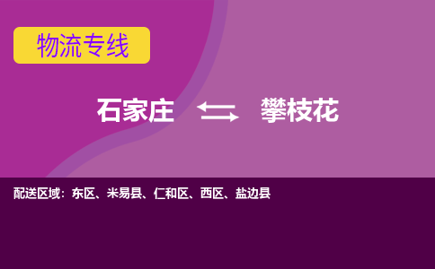 石家庄到攀枝花物流专线-石家庄到攀枝花货运-敬请致电