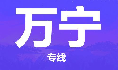 石家庄到万宁物流公司|石家庄到万宁货运公司-全方位物流服务